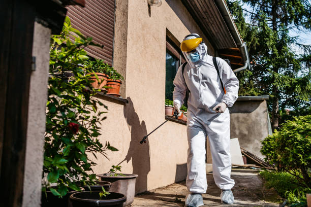 Best Pest Inspection Near Me  in East Rutherford, NJ