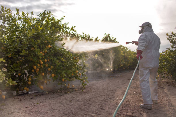 Best Pest Control Near Me  in East Rutherford, NJ