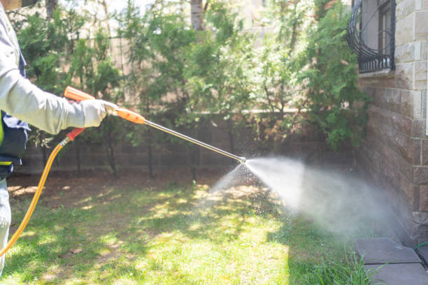 Best Wildlife Control Services  in East Rutherford, NJ